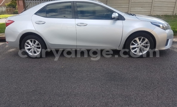 Acheter Occasion Voiture Toyota Corolla Autre à Windhoek, Namibie Acheter Occasion Voiture Toyota Corolla Autre à Windhoek, Namibie