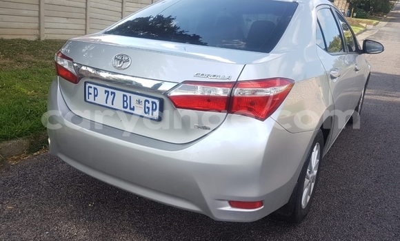 Acheter Occasion Voiture Toyota Corolla Autre à Windhoek, Namibie Acheter Occasion Voiture Toyota Corolla Autre à Windhoek, Namibie