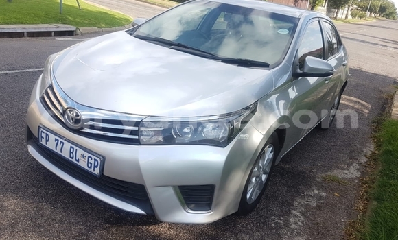 Acheter Occasion Voiture Toyota Corolla Autre à Windhoek, Namibie Acheter Occasion Voiture Toyota Corolla Autre à Windhoek, Namibie
