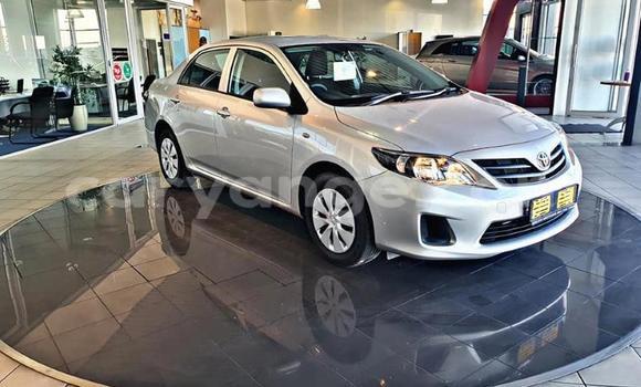 Buy Used Toyota Corolla Other Car in Gobabis in Omaheke