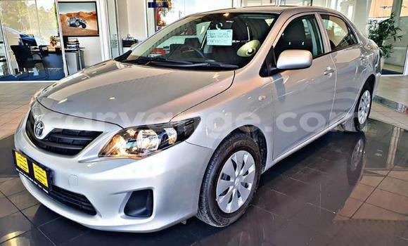 Buy Used Toyota Corolla Other Car in Gobabis in Omaheke Buy Used Toyota Corolla Other Car in Gobabis in Omaheke