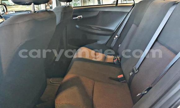 Buy Used Toyota Corolla Other Car in Gobabis in Omaheke Buy Used Toyota Corolla Other Car in Gobabis in Omaheke