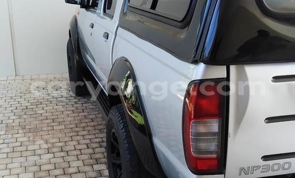 Buy Used Nissan NP 300 White Car in Windhoek in Namibia Buy Used Nissan NP 300 White Car in Windhoek in Namibia