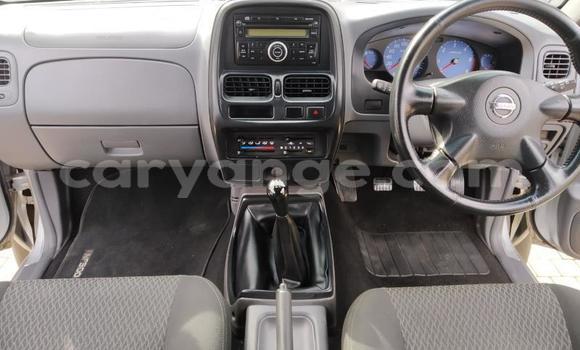 Buy Used Nissan NP 300 White Car in Windhoek in Namibia Buy Used Nissan NP 300 White Car in Windhoek in Namibia