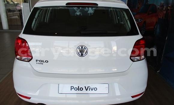 Buy Used Volkswagen Polo White Car in Grootfontein in Namibia Buy Used Volkswagen Polo White Car in Grootfontein in Namibia