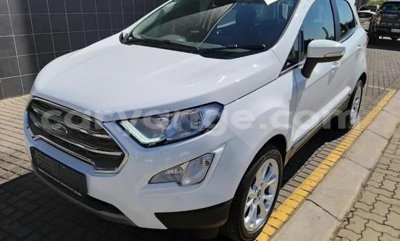 Buy Used Ford EcoSport White Car in Grootfontein in Namibia