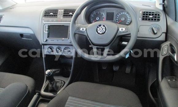 Buy Used Volkswagen Polo White Car in Aranos in Hardap Buy Used Volkswagen Polo White Car in Aranos in Hardap