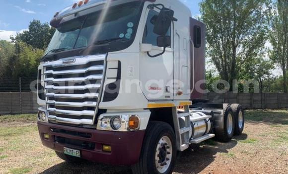 Buy Used Freightliner 90 Cum 500 White Truck in Windhoek in Namibia
