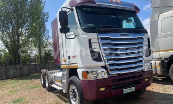 Buy Used Freightliner 90 Cum 500 White Truck in Windhoek in Namibia Buy Used Freightliner 90 Cum 500 White Truck in Windhoek in Namibia