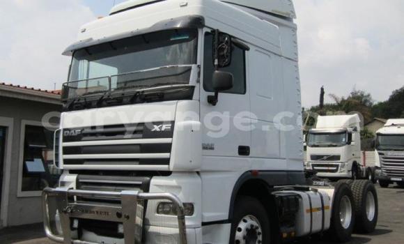 Buy Used DAF CF White Truck in Arandis in Kunene