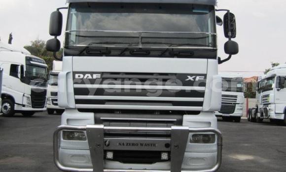 Buy Used DAF CF White Truck in Arandis in Kunene Buy Used DAF CF White Truck in Arandis in Kunene