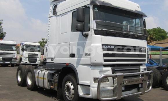 Buy Used DAF CF White Truck in Arandis in Kunene Buy Used DAF CF White Truck in Arandis in Kunene