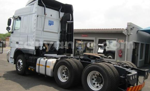 Buy Used DAF CF White Truck in Arandis in Kunene Buy Used DAF CF White Truck in Arandis in Kunene