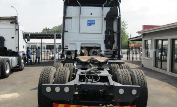 Buy Used DAF CF White Truck in Arandis in Kunene Buy Used DAF CF White Truck in Arandis in Kunene