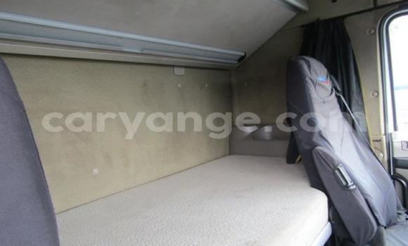 Buy Used DAF CF White Truck in Arandis in Kunene Buy Used DAF CF White Truck in Arandis in Kunene