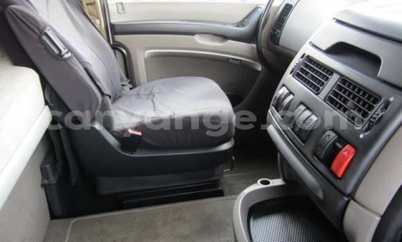 Buy Used DAF CF White Truck in Arandis in Kunene Buy Used DAF CF White Truck in Arandis in Kunene