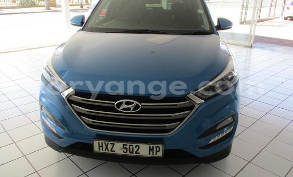 Buy Used Hyundai Tucson Blue Car in Omaruru in Erongo Buy Used Hyundai Tucson Blue Car in Omaruru in Erongo