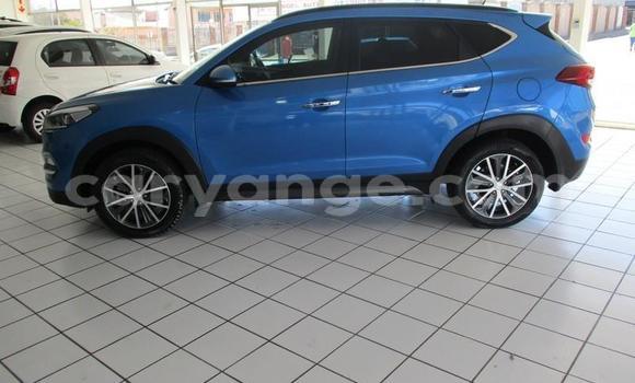 Buy Used Hyundai Tucson Blue Car in Omaruru in Erongo Buy Used Hyundai Tucson Blue Car in Omaruru in Erongo
