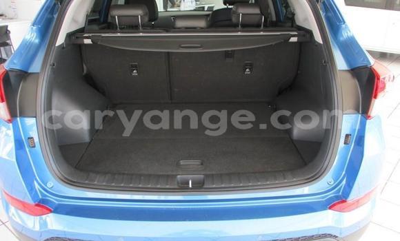 Buy Used Hyundai Tucson Blue Car in Omaruru in Erongo Buy Used Hyundai Tucson Blue Car in Omaruru in Erongo