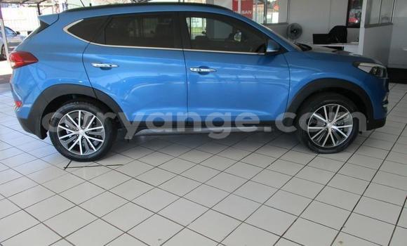 Buy Used Hyundai Tucson Blue Car in Omaruru in Erongo Buy Used Hyundai Tucson Blue Car in Omaruru in Erongo