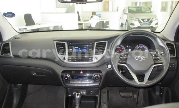 Buy Used Hyundai Tucson Blue Car in Omaruru in Erongo Buy Used Hyundai Tucson Blue Car in Omaruru in Erongo