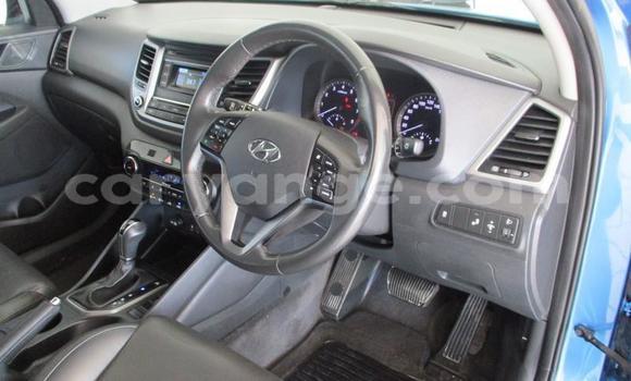 Buy Used Hyundai Tucson Blue Car in Omaruru in Erongo Buy Used Hyundai Tucson Blue Car in Omaruru in Erongo