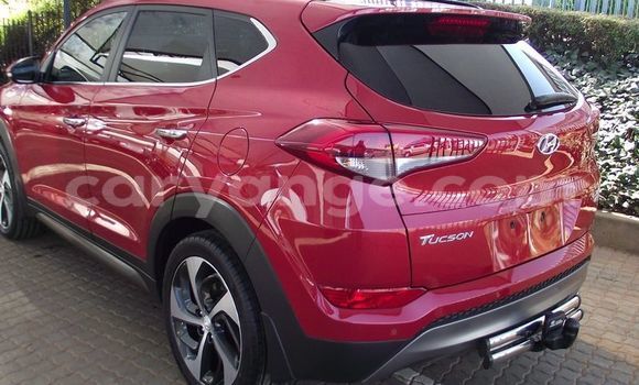 Buy Used Hyundai Tucson Red Car in Arandis in Kunene Buy Used Hyundai Tucson Red Car in Arandis in Kunene