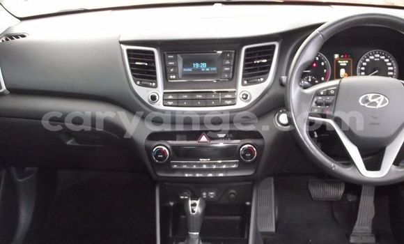 Buy Used Hyundai Tucson Red Car in Arandis in Kunene Buy Used Hyundai Tucson Red Car in Arandis in Kunene