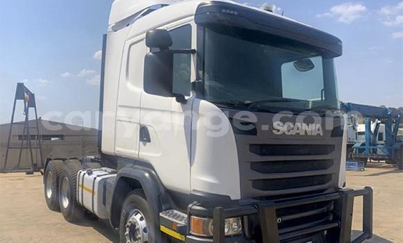 Buy Used Scania R470 White Truck in Windhoek in Namibia