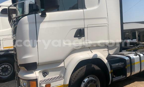 Buy Used Scania R420 White Truck in Windhoek in Namibia Buy Used Scania R420 White Truck in Windhoek in Namibia