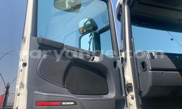 Buy Used Scania R420 White Truck in Windhoek in Namibia Buy Used Scania R420 White Truck in Windhoek in Namibia