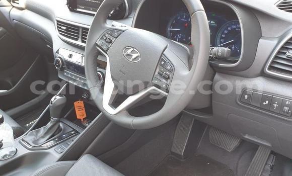 Buy Used Hyundai Tucson White Car in Gobabis in Omaheke Buy Used Hyundai Tucson White Car in Gobabis in Omaheke