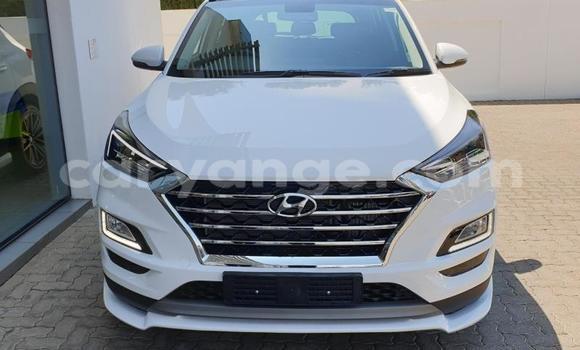 Buy Used Hyundai Tucson White Car in Gobabis in Omaheke Buy Used Hyundai Tucson White Car in Gobabis in Omaheke