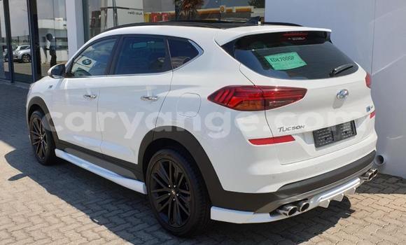 Buy Used Hyundai Tucson White Car in Gobabis in Omaheke Buy Used Hyundai Tucson White Car in Gobabis in Omaheke