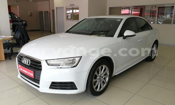 Buy Used Audi A3 White Car in Grootfontein in Namibia Buy Used Audi A3 White Car in Grootfontein in Namibia