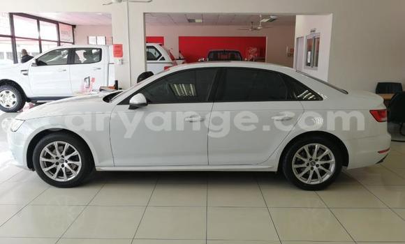 Buy Used Audi A3 White Car in Grootfontein in Namibia Buy Used Audi A3 White Car in Grootfontein in Namibia