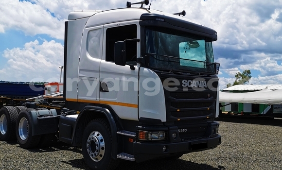 Buy Used Scania R420 White Truck in Grootfontein in Namibia