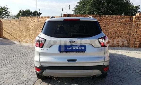 Buy Used Ford Kuga Silver Car in Karasburg in Karas Buy Used Ford Kuga Silver Car in Karasburg in Karas