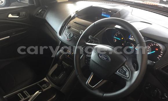 Buy Used Ford Kuga Silver Car in Karasburg in Karas Buy Used Ford Kuga Silver Car in Karasburg in Karas
