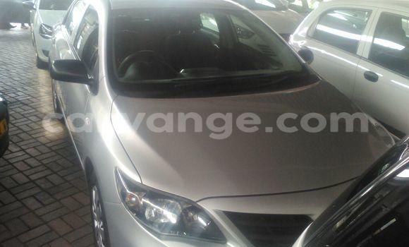 Buy Used Toyota Corolla Silver Car in Windhoek in Namibia Buy Used Toyota Corolla Silver Car in Windhoek in Namibia