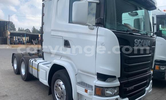 Buy Used Scania R470 White Truck in Windhoek in Namibia Buy Used Scania R470 White Truck in Windhoek in Namibia