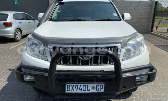 Buy Used Toyota Prado White Car in Windhoek in Namibia