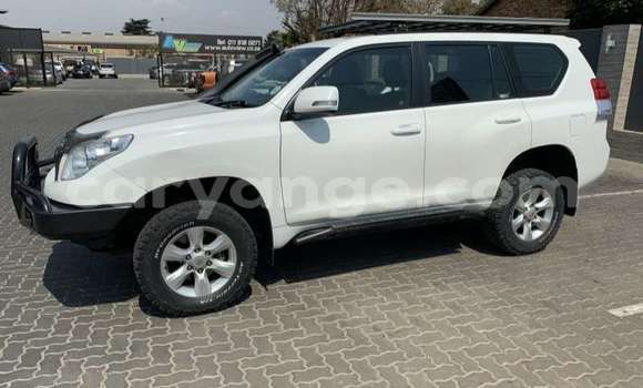 Buy Used Toyota Prado White Car in Windhoek in Namibia Buy Used Toyota Prado White Car in Windhoek in Namibia