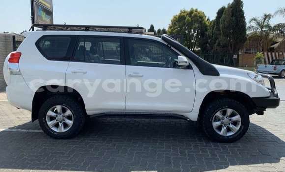 Buy Used Toyota Prado White Car in Windhoek in Namibia Buy Used Toyota Prado White Car in Windhoek in Namibia