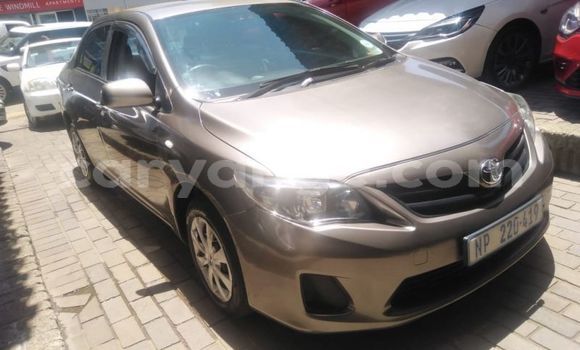Buy Used Toyota Corolla Other Car in Windhoek in Namibia