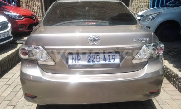 Acheter Occasion Voiture Toyota Corolla Autre à Windhoek, Namibie Acheter Occasion Voiture Toyota Corolla Autre à Windhoek, Namibie