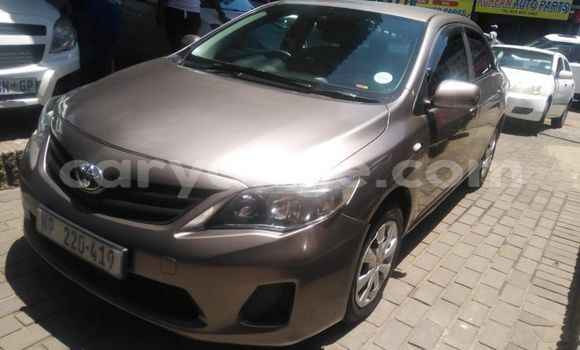 Acheter Occasion Voiture Toyota Corolla Autre à Windhoek, Namibie Acheter Occasion Voiture Toyota Corolla Autre à Windhoek, Namibie