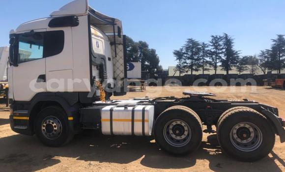 Acheter Occasion Utilitaire Scania R470 Blanc à Windhoek, Namibie Acheter Occasion Utilitaire Scania R470 Blanc à Windhoek, Namibie