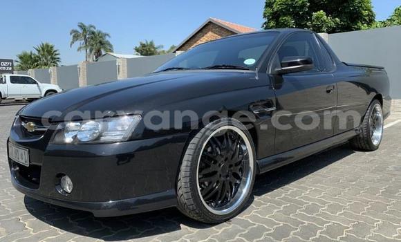 Buy Used Chevrolet Lumina Black Car in Windhoek in Namibia