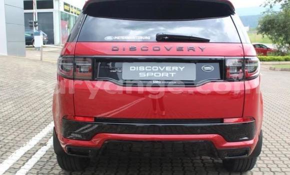 Acheter Occasion Voiture Land Rover Discovery Sport Rouge à Windhoek, Namibie Acheter Occasion Voiture Land Rover Discovery Sport Rouge à Windhoek, Namibie